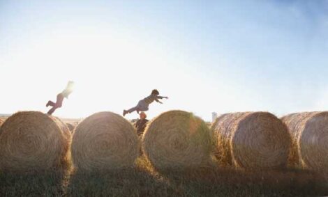 The Hygiene Hypothesis: Exploring the Connection Between Allergies and an Agrarian Lifestyle Image